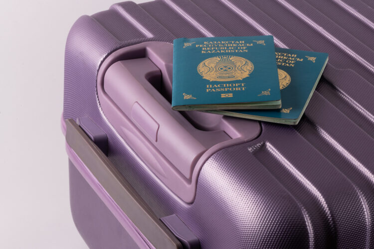 В Жетісу судисполнителя подозревают в содействии бегству алиментщика за границу