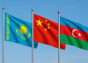 Растёт интерес международных компаний к экономике Жетісу