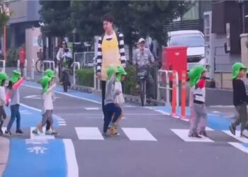 Японский опыт по дорожной безопасности берут на вооружение в Жетісу