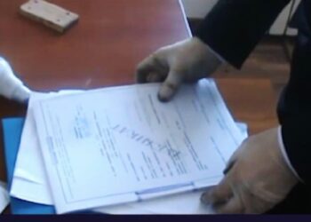 В Жетісу расследуют хищение субсидий на 300 млн тенге