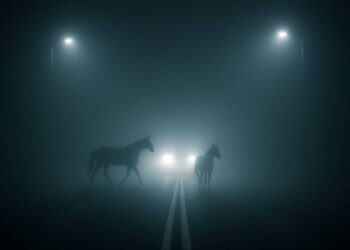 Внедорожник въехал в косяк лошадей в Алакольском районе