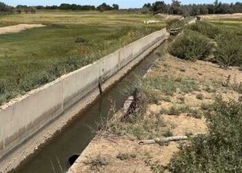 В Каратальском районе очищают водные каналы