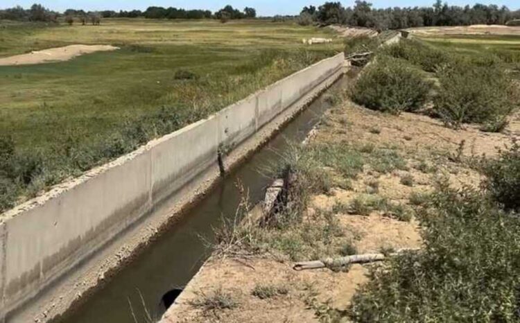 В Каратальском районе очищают водные каналы