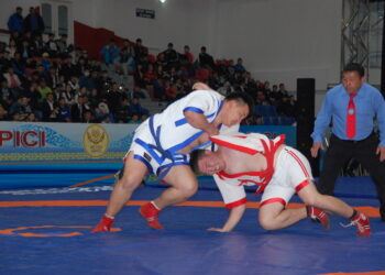 Национальные виды спорта развивают в Жетiсу