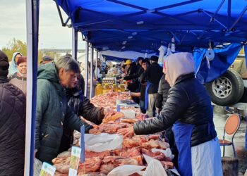 Рост цен на мясо в Казахстане: реальный дефицит или эффект затрат