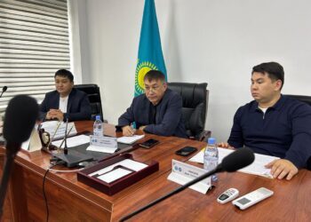 Последствия фейков в сети обсудили в АНК Жетiсу