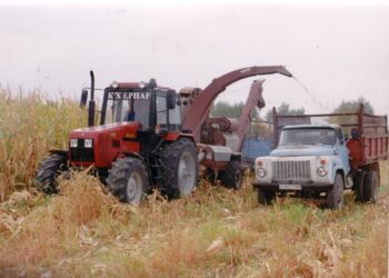 Жаркентские аграрии начали уборку кукурузы