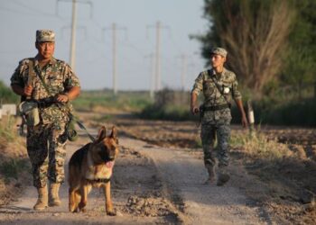 Зачеты по госязыку сдают успешно пограничники Жетiсу