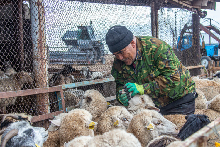 Как проверить интервьюера при сельхозпереписи