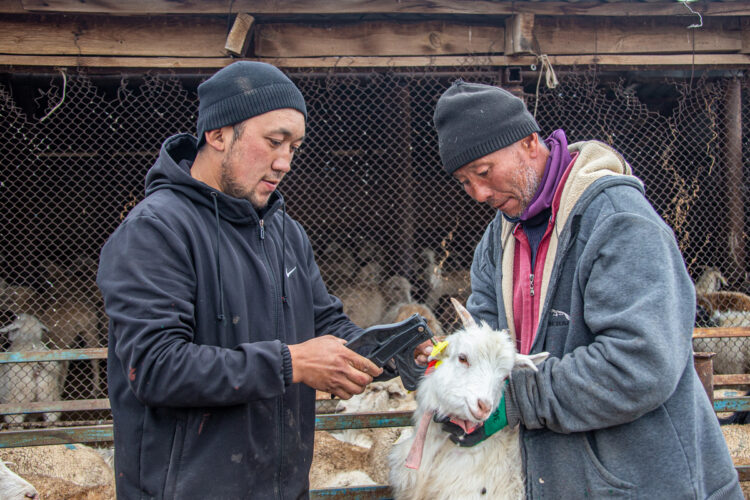 Офлайн-этап сельскохозяйственной переписи стартует в Казахстане