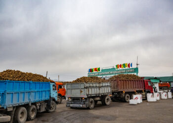 В области Жетiсу наращивает свои мощности Коксуский сахарный завод