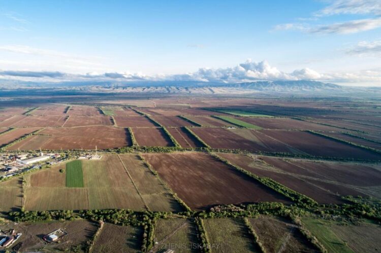 В Ескельдинском районе активизирована работа по возврату земель и развитию АПК