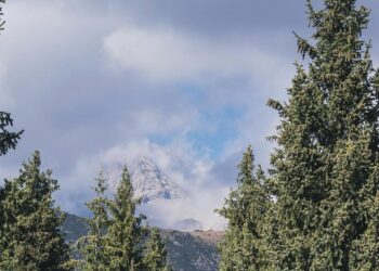 Новый туристический маршрут открыт в Жетісу