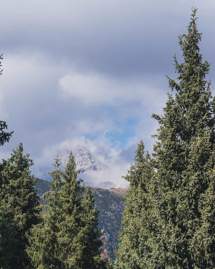 Новый туристический маршрут открыт в Жетісу