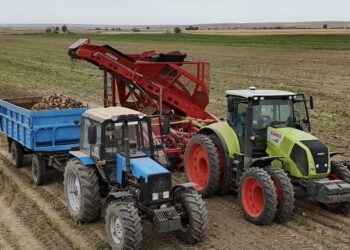 В Сарканском районе стартовала уборка сахарной свеклы