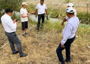 Экологичный насос внедряют в Сарканском районе