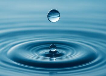 Инициатива о Центре изучения водных проблем ШОС: что стоит за предложением Казахстана