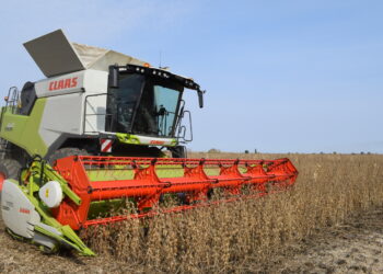 Алакольские аграрии увеличивают посевы сои и выходят на новый уровень переработки