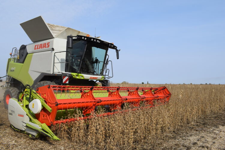 Алакольские аграрии увеличивают посевы сои и выходят на новый уровень переработки