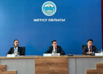 98% жителей области Жетiсу получают госуслуги в электронном формате