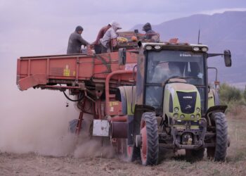 Хозяйство «Нам»: почти 30 лет на страже продовольственной безопасности Жетісу