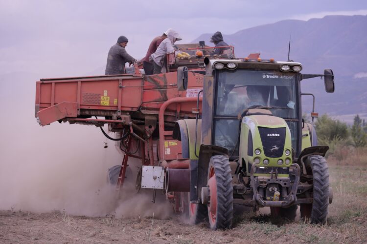 Хозяйство «Нам»: почти 30 лет на страже продовольственной безопасности Жетісу