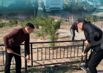 В Сарыозеке за несколько часов собрали свыше 5 тонн мусора