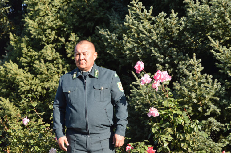 Лесной массив увеличивают в Алакольском районе