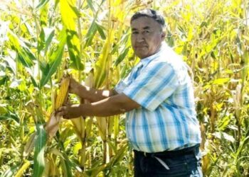 Труженик земли из Панфиловского района