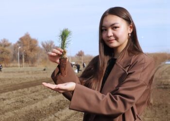 В Талдыкоргане высадили пять тысяч сосен в честь Дня Республики