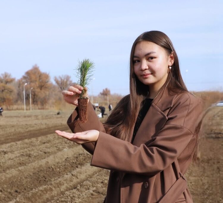 В Талдыкоргане высадили пять тысяч сосен в честь Дня Республики
