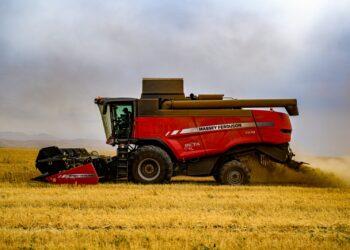 В 2025 году аграрии Жетісу получат 64 млрд тенге господдержки