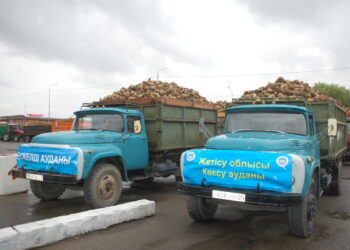 Коксуский сахарный завод начал приемку свеклы нового урожая