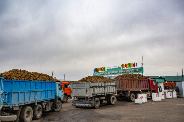Коксуский район показывает стабильный рост в АПК
