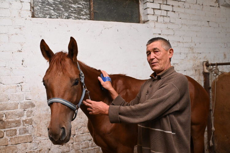 Сарканские коневоды выращивают элитных скакунов