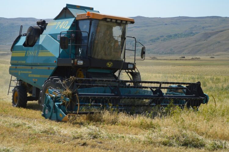 Хвала рукам, что пахнут караваем