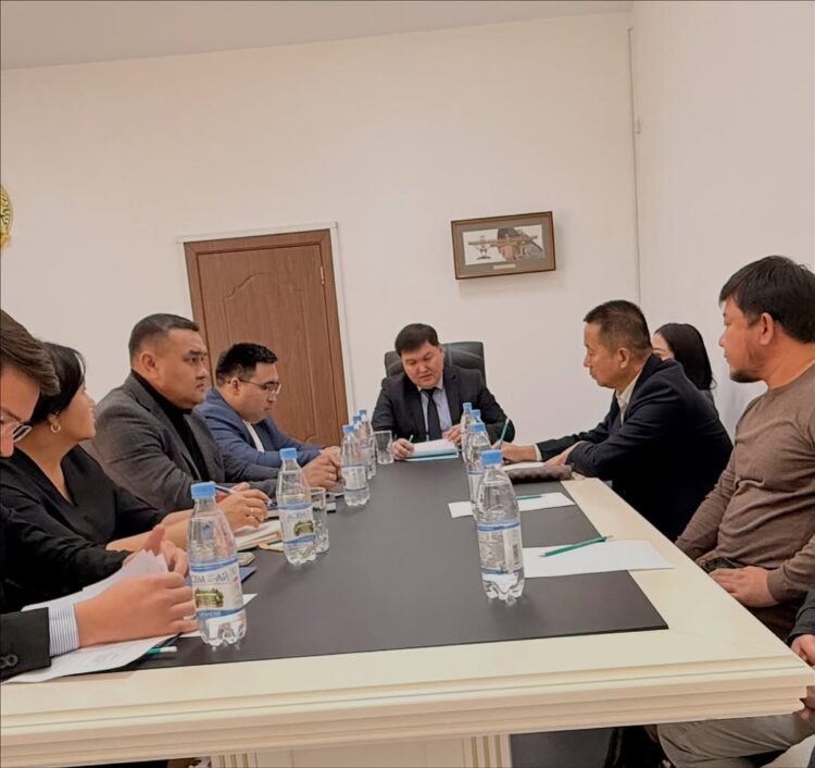 Перспективы сотрудничества с китайской компанией рассмотрели в Жетісу