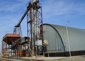 В Алакольском районе набирает обороты уборка масличных культур