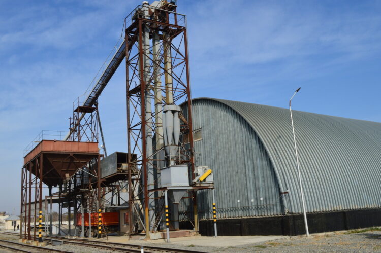 В Алакольском районе набирает обороты уборка масличных культур