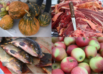 Осенняя сельскохозяйственная ярмарка пройдет в Талдыкоргане