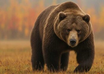 Краснокнижные хищники атакуют фермеров в Жетiсу