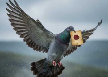 Сапожник без сапог, или Казпочта без конвертов