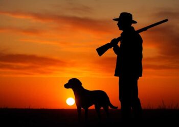 Полицейская отработка «Браконьер» стартовала в Жетісу