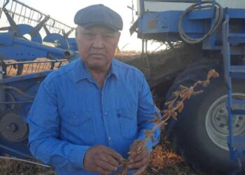 Пример сочетания сельского труда и современных технологий