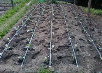 Растущему дефициту воды противостоят в Панфиловском районе