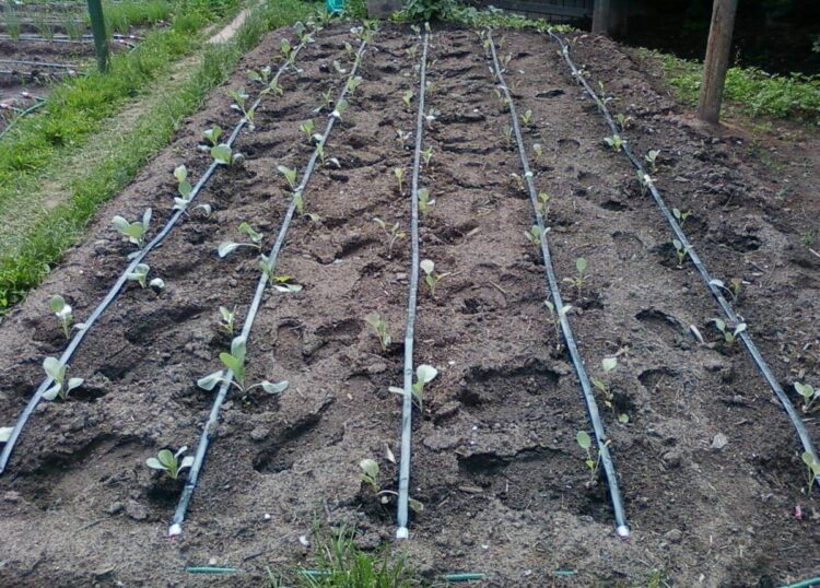 Растущему дефициту воды противостоят в Панфиловском районе