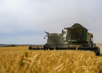 От поля до прилавка – комплексное развитие агросектора Жетісу