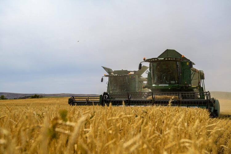 От поля до прилавка – комплексное развитие агросектора Жетісу