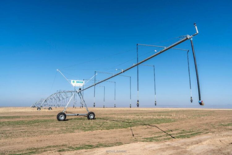 Новый проект по выращиванию кормов реализуют в Жетісу