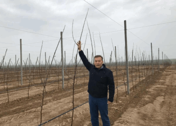 Рост не приходит сам по себе — мажилисмен о развитии экономики Казахстана